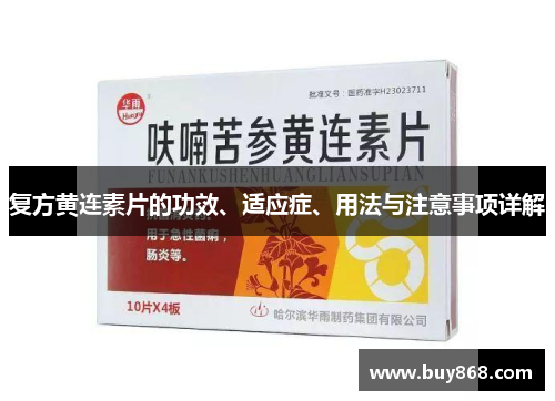 复方黄连素片的功效、适应症、用法与注意事项详解